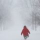 Intense Ontario snow strands vehicles, knocks out power as town calls emergency