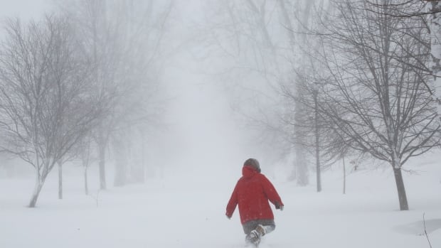 Intense Ontario snow strands vehicles, knocks out power as town calls emergency