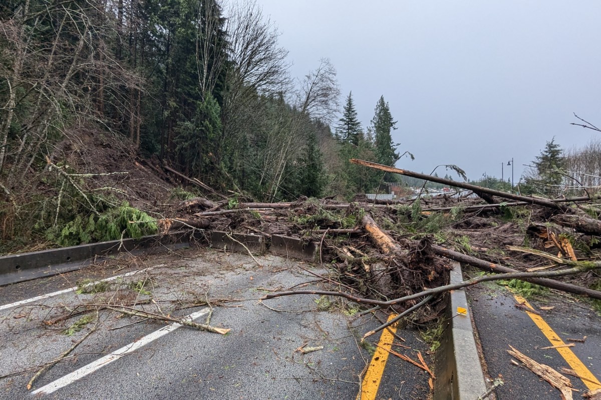 One home impacted by Lions Bay landslide, RCMP say