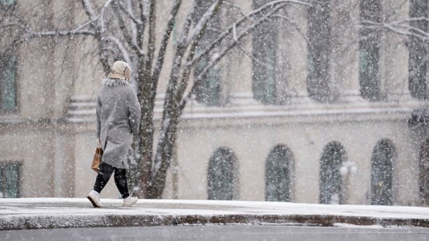 Snow squall warning for Kingston area, travel advisories elsewhere