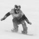 Swiss snowboard cross Olympian Sophie Hediger dies in avalanche