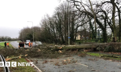 Two men killed by falling trees as Storm Darragh winds hit UK