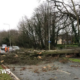 Two men killed by falling trees as Storm Darragh winds hit UK