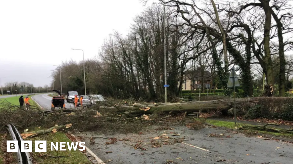 Two men killed by falling trees as Storm Darragh winds hit UK