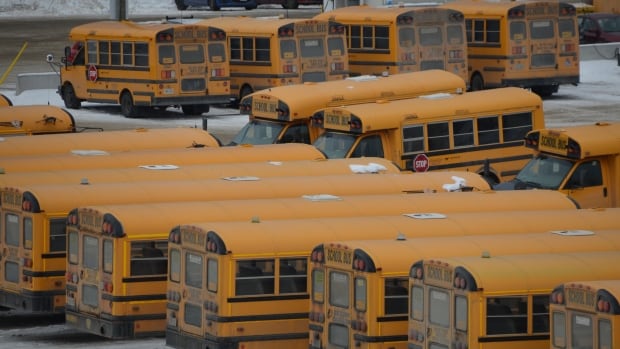 Weather warnings, road conditions prompt school bus cancellations throughout northeastern Ontario