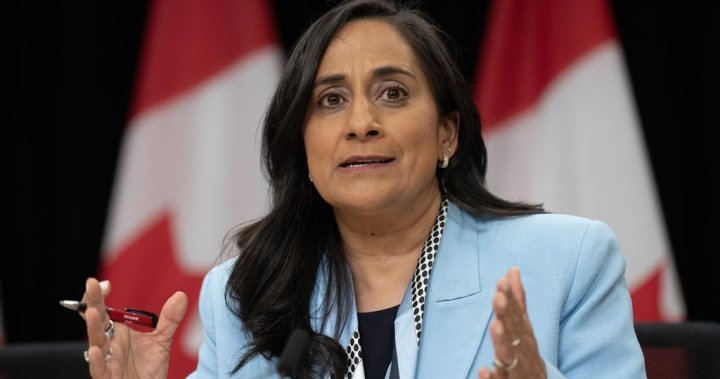 Transport Minister Anita Anand won’t make bid for Liberal leadership or re-election - National