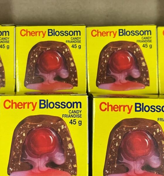 Fin de la Cherry Blossom: les adeptes se ruent sur les derniers chocolats en circulation