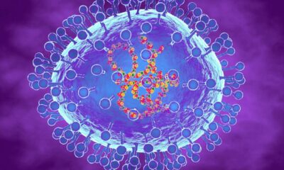 What is the HMPV virus in China? The human metapneumovirus and its symptoms, explained.