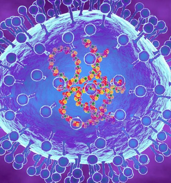 What is the HMPV virus in China? The human metapneumovirus and its symptoms, explained.