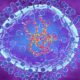 What is the HMPV virus in China? The human metapneumovirus and its symptoms, explained.