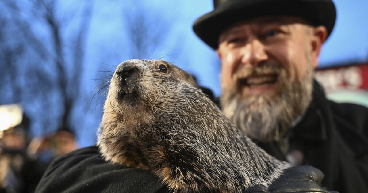 Punxsutawney Phil to make his 2025 Groundhog Day prediction