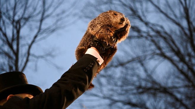 When is Groundhog Day 2025? Will he see his shadow? What to know